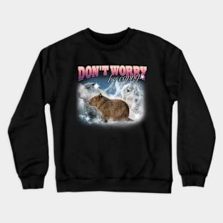 Cabybara Vintage 90s Bootleg Style T-Shirt, don't worry be cappy Shirt, Funny Capybara Meme Crewneck Sweatshirt